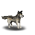 Wolf for the ranger's cove :)
